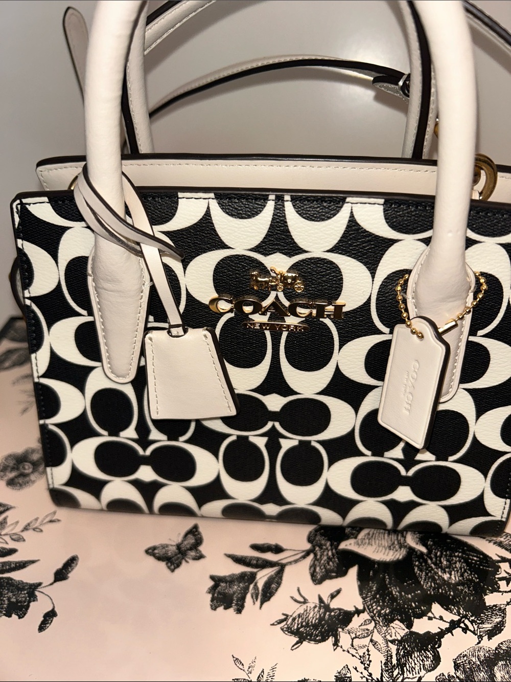 Coach Andrea Medium Carryall